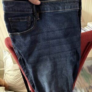 Lane Bryant Denim Capri
